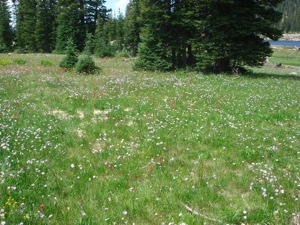 Backpacking With Melissa - Duck Lake 2008 - 028