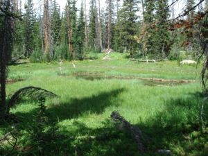 Backpacking With Melissa - Duck Lake 2008 - 003