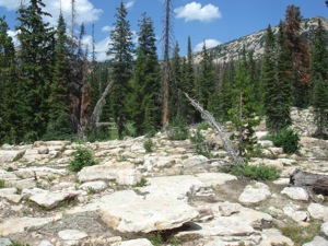 Backpacking With Melissa - Duck Lake 2008 - 039