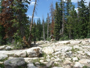 Backpacking With Melissa - Duck Lake 2008 - 040