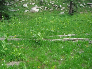 Backpacking With Melissa - Duck Lake 2008 - 043