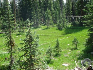 Backpacking With Melissa - Duck Lake 2008 - 009