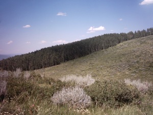 Deer Valley - July 12 2003 - 07