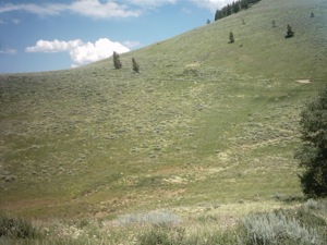 Deer Valley - July 12 2003 - 09