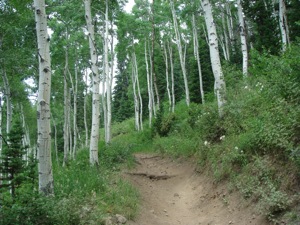 Deer Valley - July 12 2008 - 004