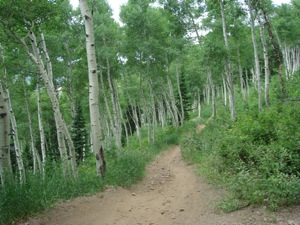 Deer Valley - July 12 2008 - 006