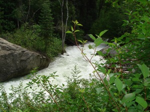 Little Cottonwood - June 13 2006 - 03