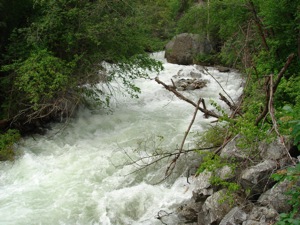 Little Cottonwood - June 13 2006 - 04