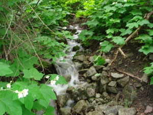 Little Cottonwood - June 13 2006 - 06