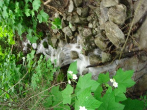 Little Cottonwood - June 13 2006 - 07