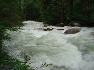 Little Cottonwood - June 13 2006 - 08