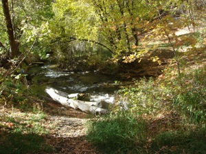 FallInMillCreekCanyon-04