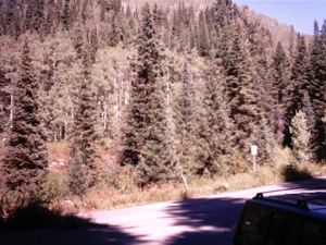 Millcreek Canyon Hike- September 30 2004 - 01