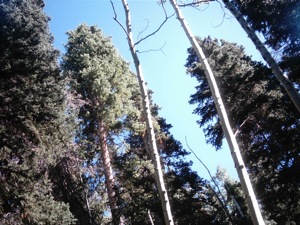 Millcreek Canyon Hike- September 30 2004 - 11