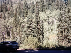 Millcreek Canyon Hike- September 30 2004 - 03