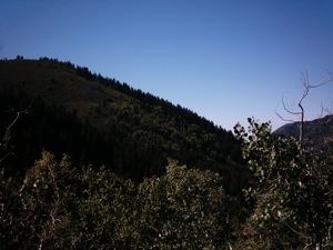 Millcreek Canyon Hike- September 30 2004 - 06