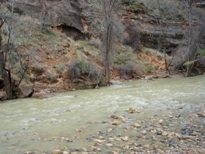 Zion Mountain Biking - April 01 2006 - 12