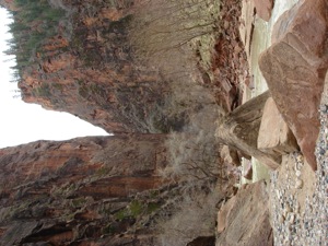 Zion Mountain Biking - April 01 2006 - 16