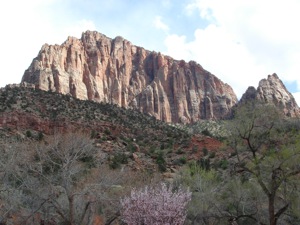 Zion Mountain Biking - April 01 2006 - 24