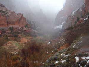 Zion Mountain Biking - April 01 2006 - 09