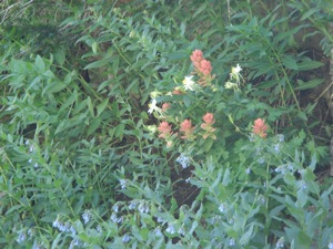 Mt Timpanogos- August 13 2006 - 043