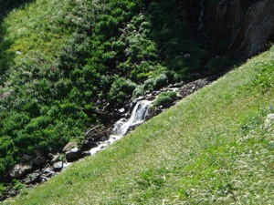 Mt Timpanogos- August 13 2006 - 052