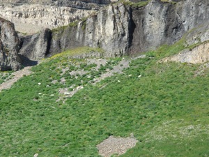 Mt Timpanogos- August 13 2006 - 063