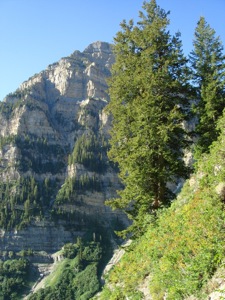 Mt Timpanogos- August 13 2006 - 020