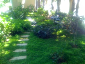 Garden-06