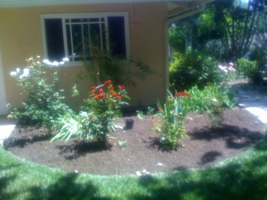 Garden-04