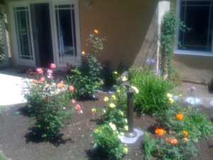 Garden-05